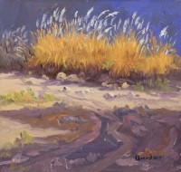 Tahir Bilal Ummi, 12 x 12 Inch, Oil on Canvas, Landscape Painting, AC-TBL-032